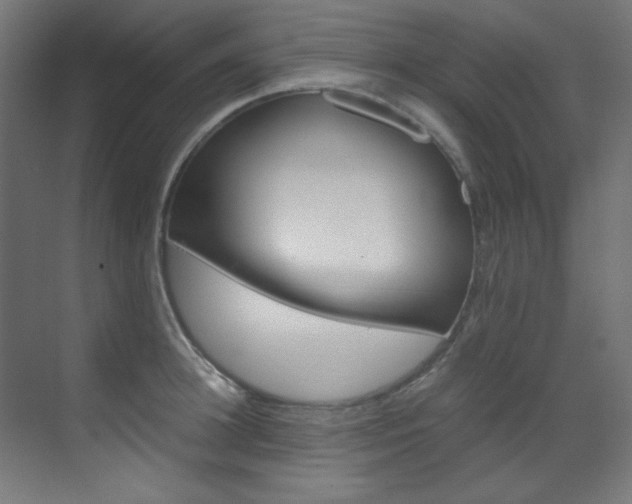 X0000070170948200605261001