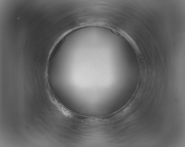 X0000070170956200605261001
