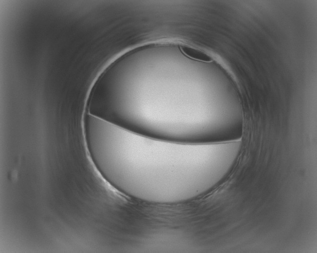 X0000070170959200605261001