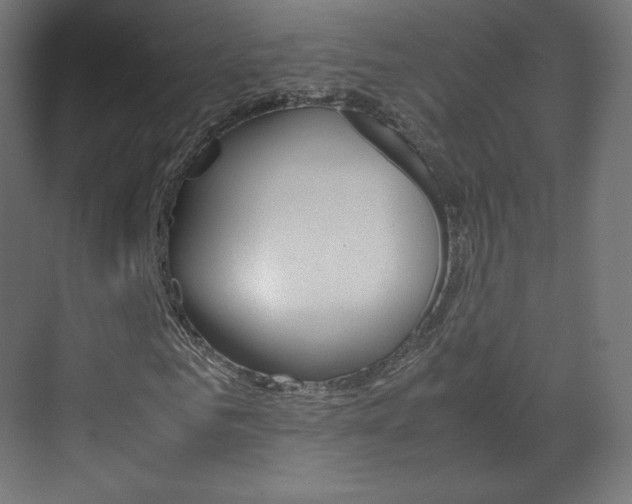 X0000070170961200605261000