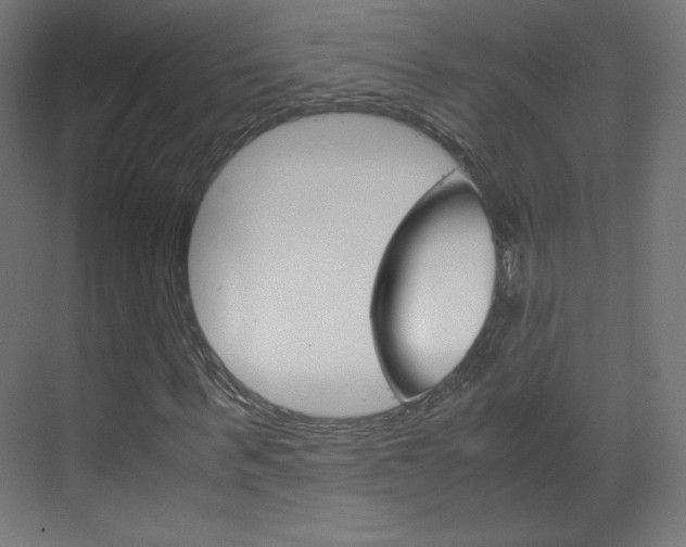 X0000070170963200605261000