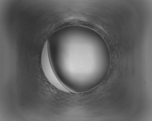 X0000070170965200605261000