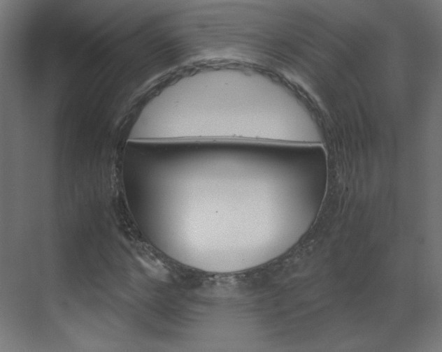 X0000070170968200605261000