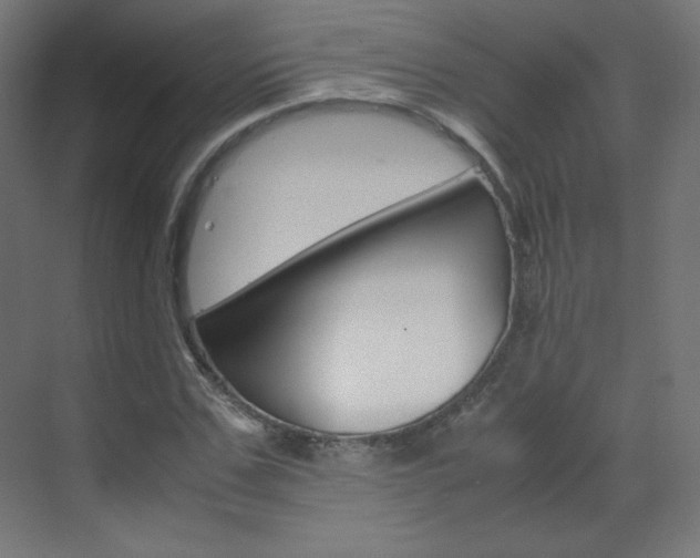 X0000070170971200605261000