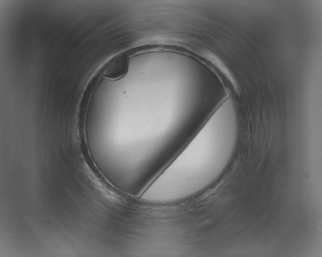 X0000070170972200605261000