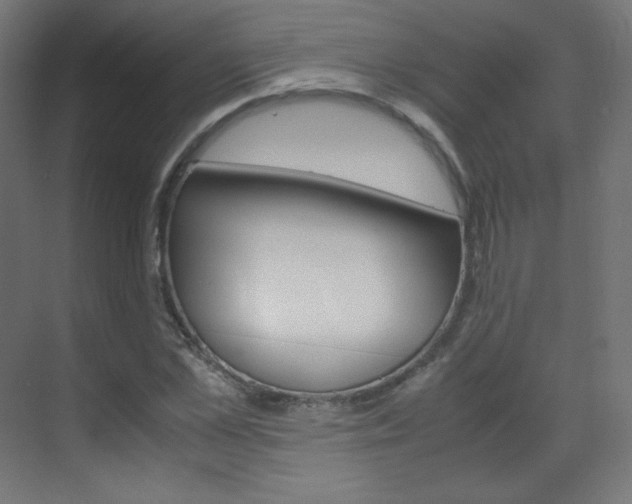 X0000070170973200605261000