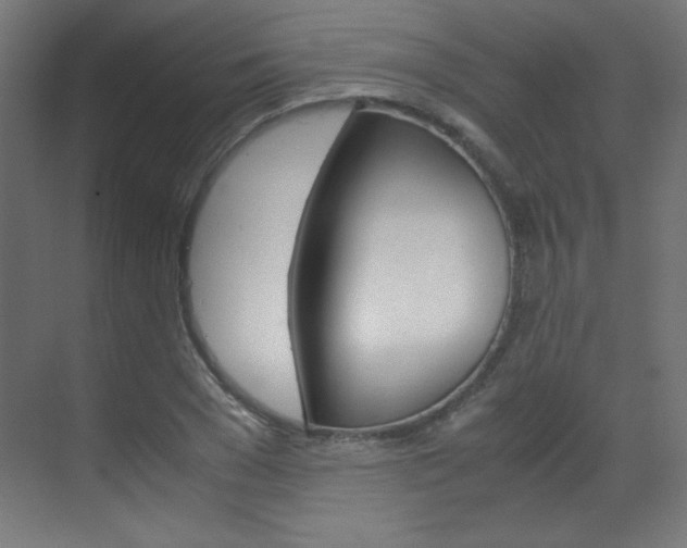 X0000070170977200605261000