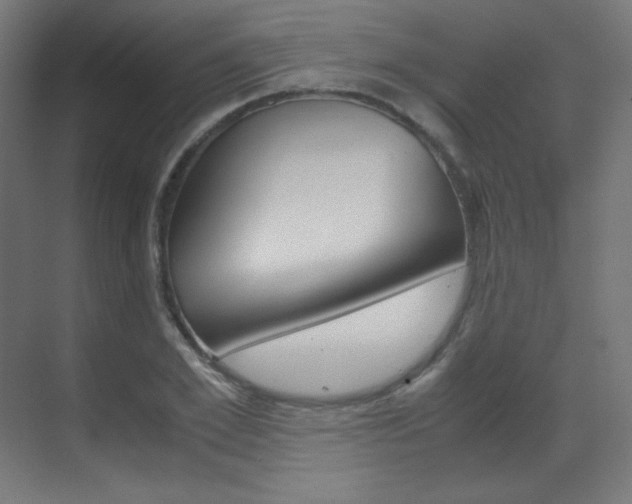 X0000070170981200605261000