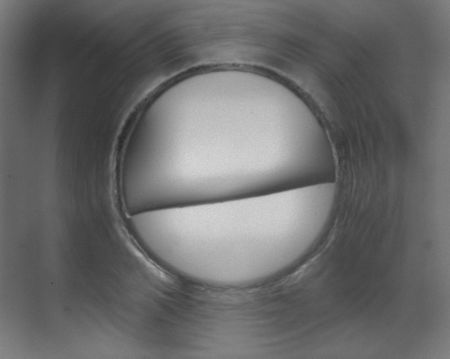 X0000070170982200605261000