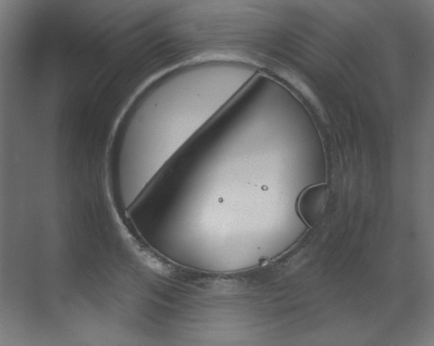 X0000070170984200605261000