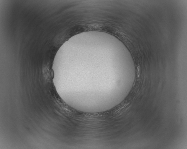 X0000070171011200605260959