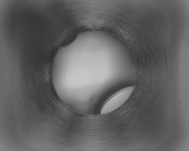 X0000070171012200605260959