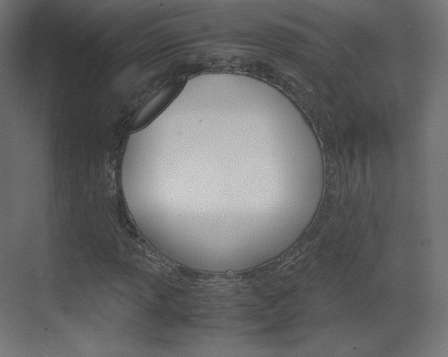 X0000070171013200605260959