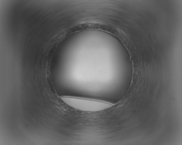 X0000070171014200605260959