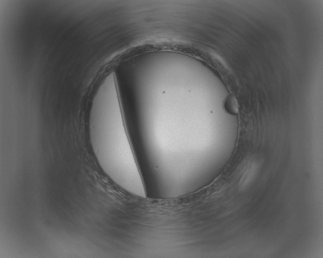 X0000070171016200605260959