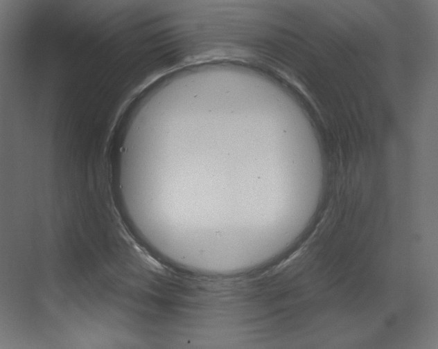X0000070171018200605260959