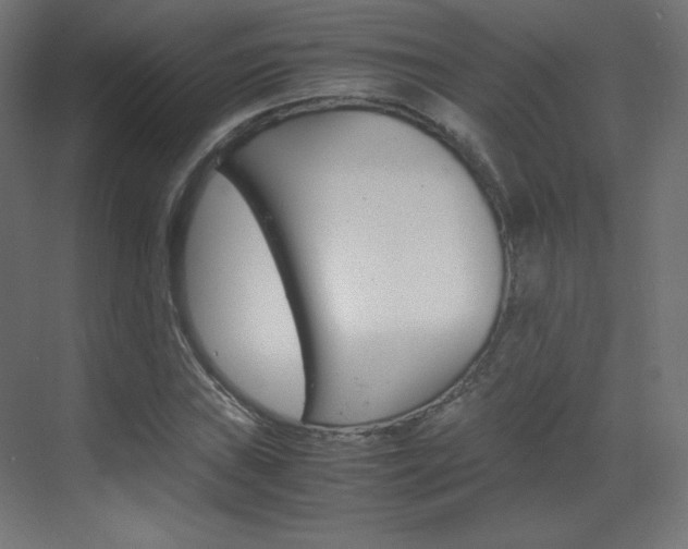 X0000070171019200605260959