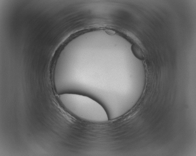 X0000070171023200605260959