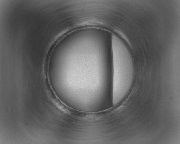 X0000070171026200605260959
