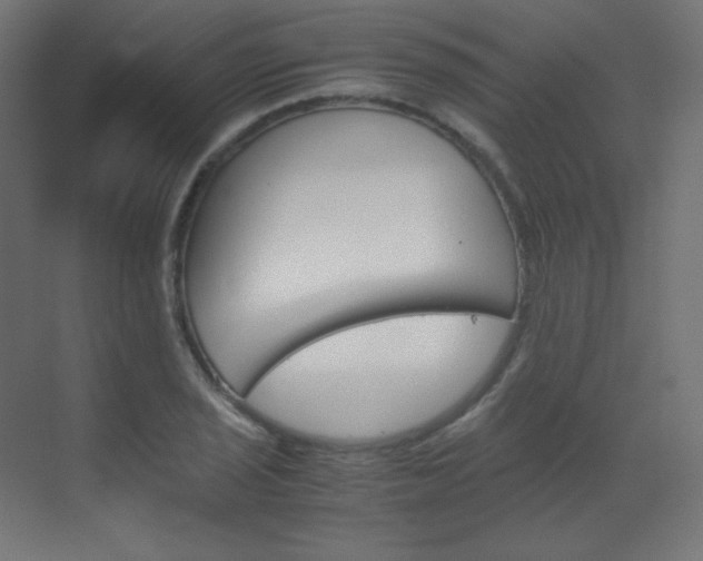X0000070171029200605260959