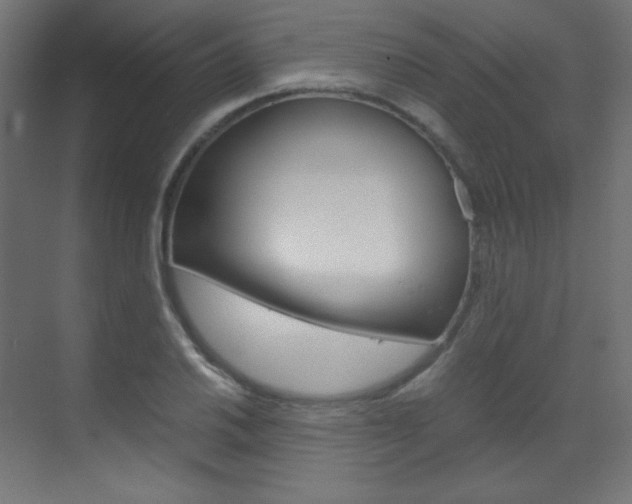 X0000070171030200605260959