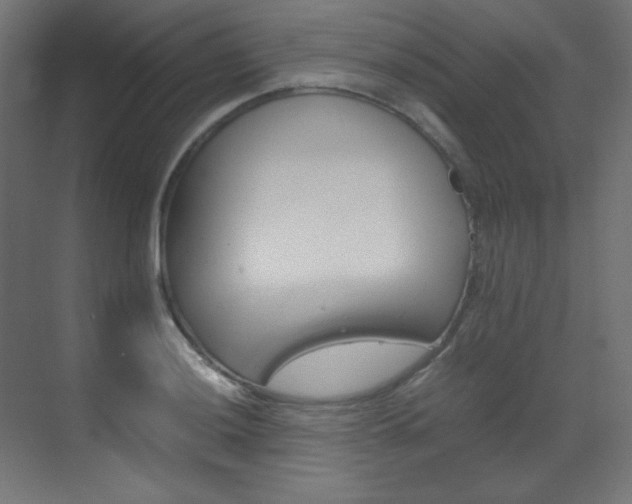 X0000070171036200605260959