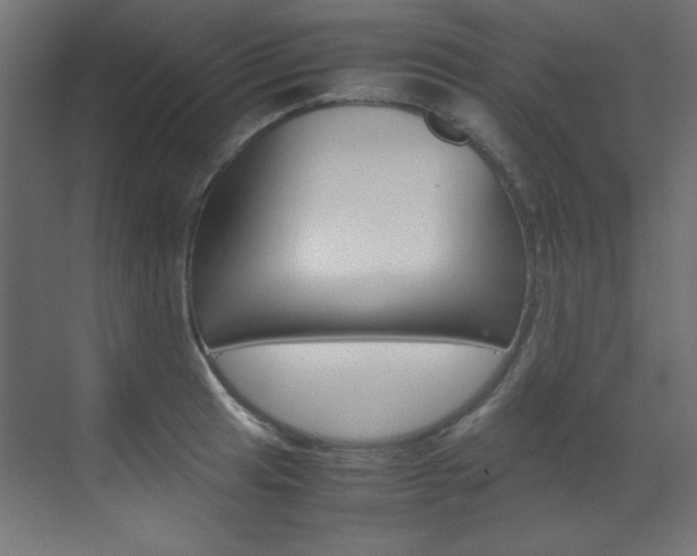 X0000070171041200605260959