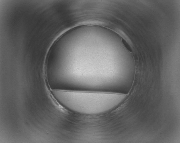 X0000070171044200605260959