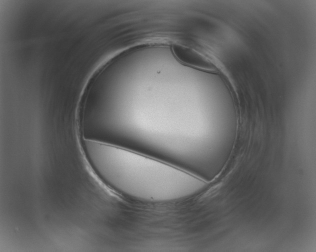 X0000070171045200605260959