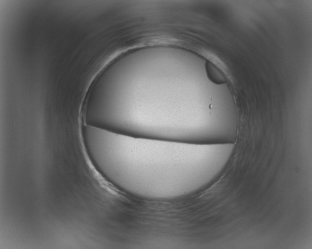 X0000070171047200605260959