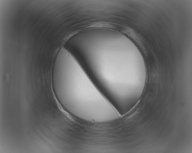 X0000070171049200605260959