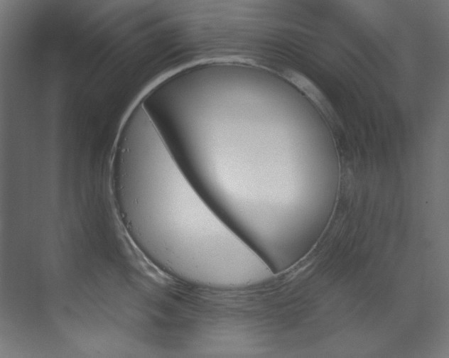 X0000070171052200605260959