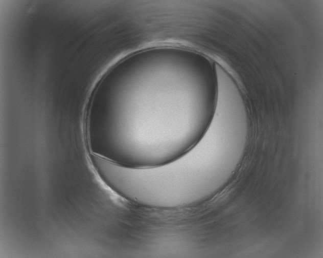 X0000070171054200605260959
