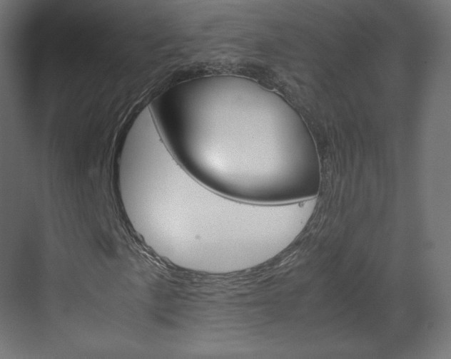 X0000070171057200605260959