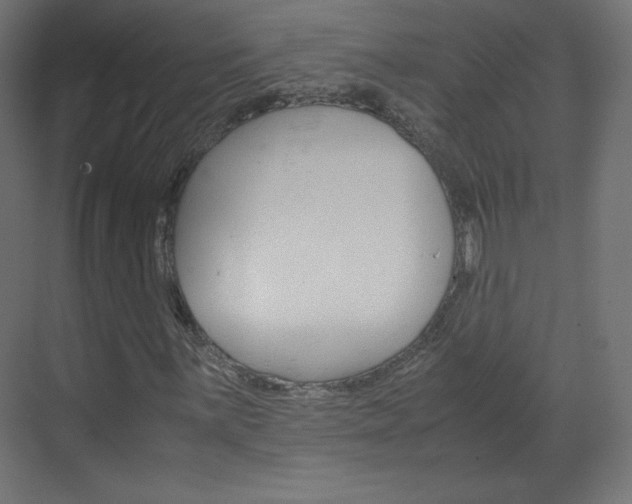 X0000070171059200605260959
