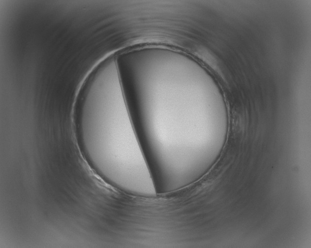 X0000070171068200605260958