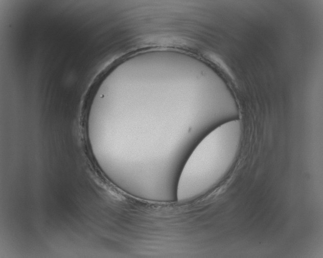 X0000070171071200605260958