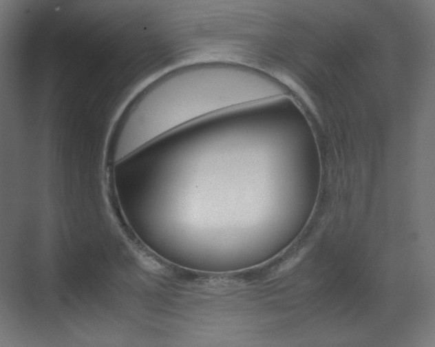 X0000070171077200605260958
