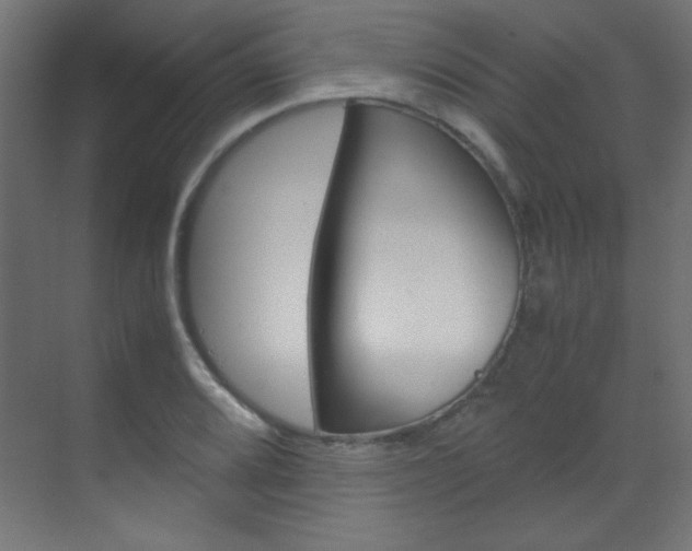 X0000070171080200605260958