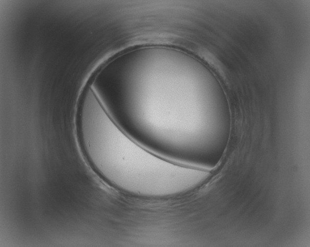 X0000070171085200605260958