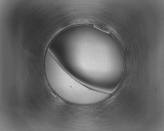 X0000070171089200605260958