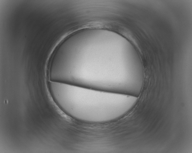 X0000070171091200605260958