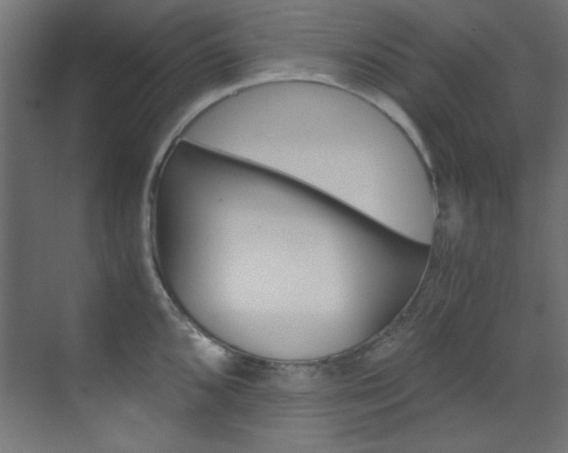 X0000070171096200605260958