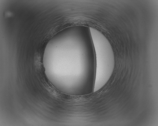X0000070171108200605260957