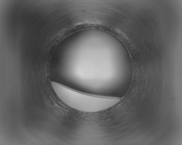 X0000070171110200605260957