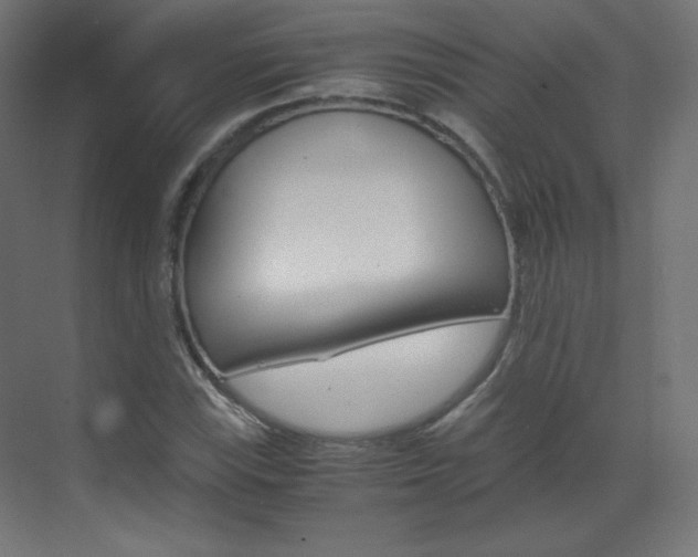 X0000070171115200605260957