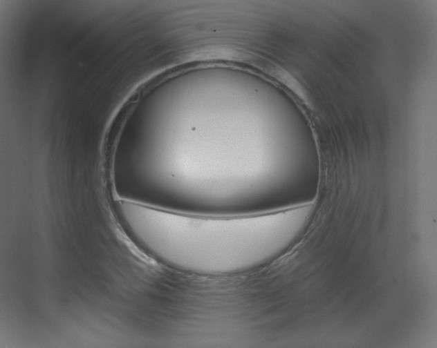X0000070171116200605260957