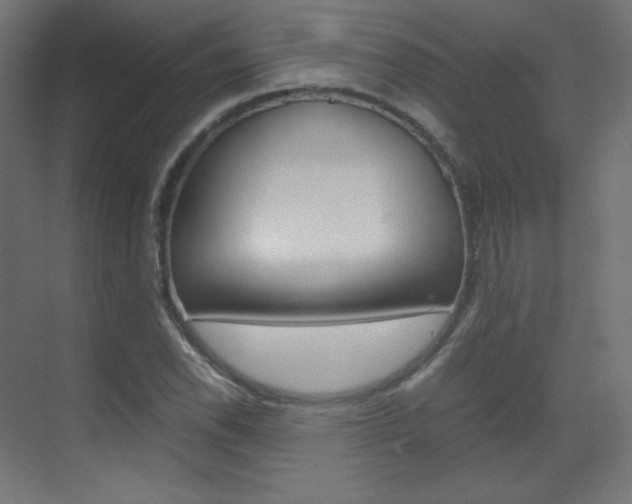 X0000070171118200605260957