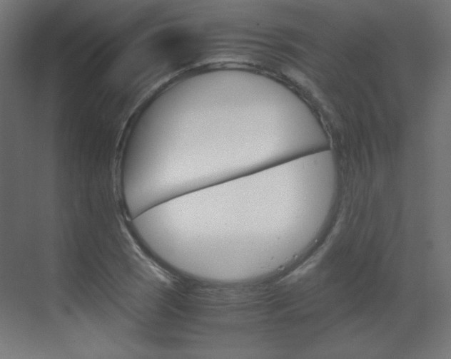 X0000070171121200605260957
