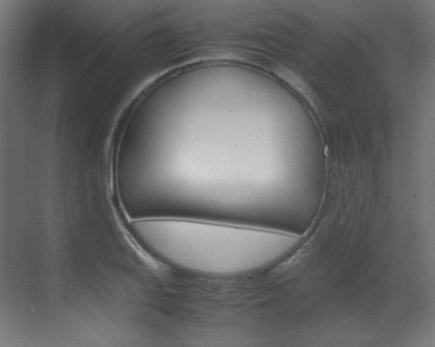 X0000070171127200605260957